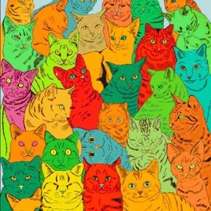 Meet your Posher, Liz